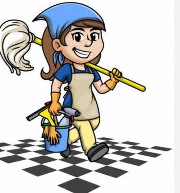 professional house cleaner