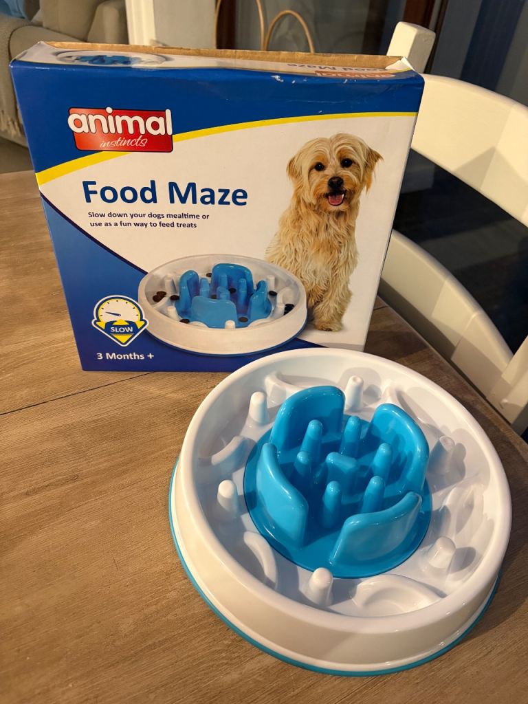 Food maze for dogs 