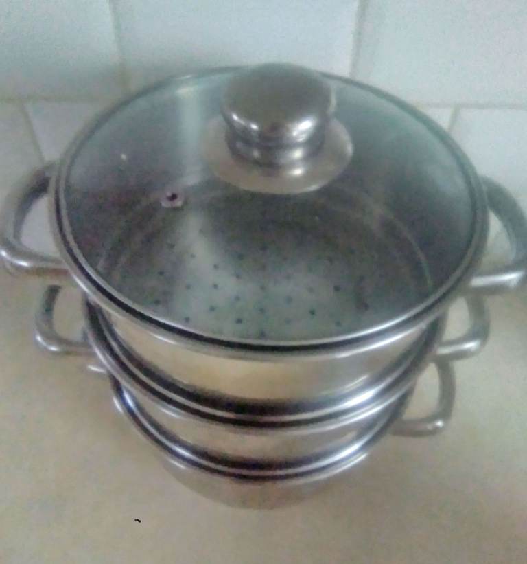 Food steamer