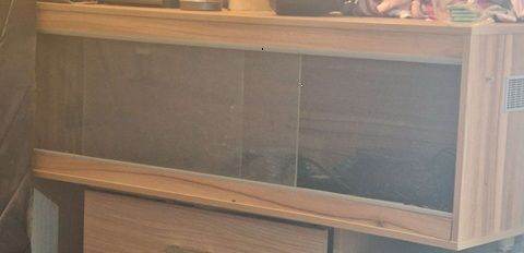 4 ft viv  with lights 