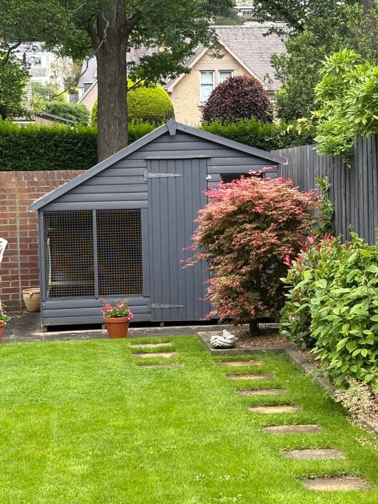 CAT House