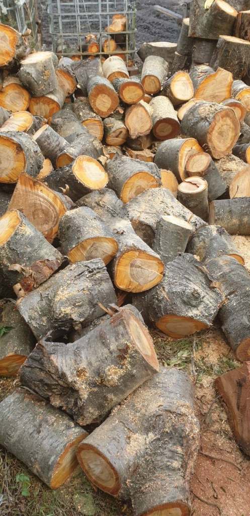 Pure Cherry Tree Firewood Hardwood Logs AVAILABLE ALL THROUGH SUMMER