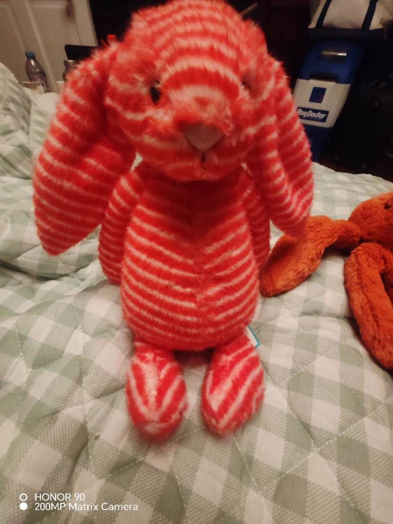 I am Bashful Evey Bunny BAS3EV 
