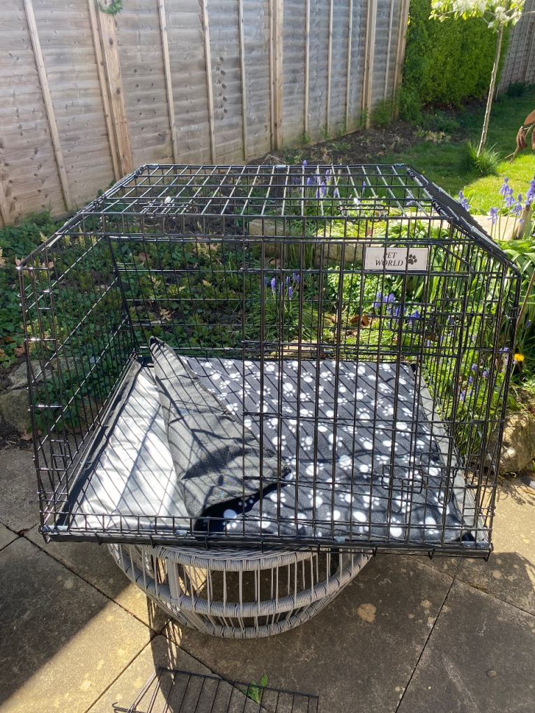 Pet World large dog crate for car