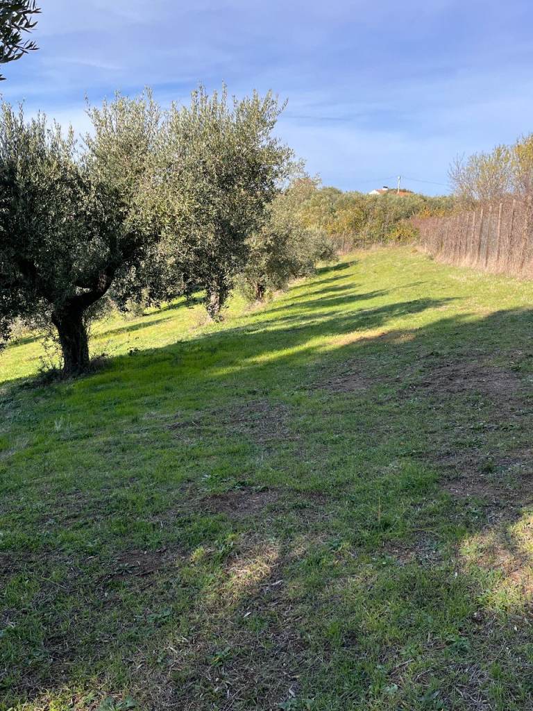 Panoramic land for sale with a building permit in Italy, Chieti (Abruzzo)