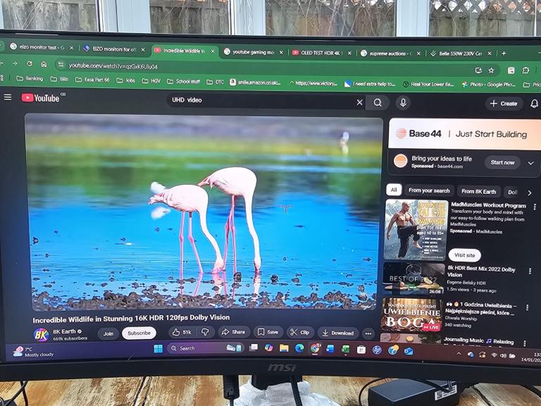 Msi g2422c 180hz curved gaming monitor 