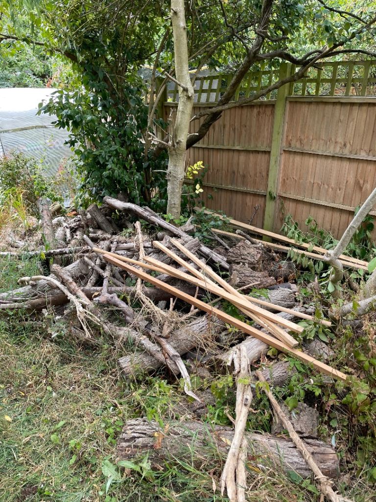Logs free to take 