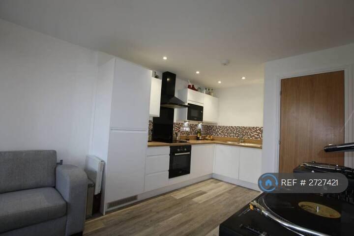 1 bedroom flat in Trelawney House, Bristol, BS2 (1 bed) (#2727421)