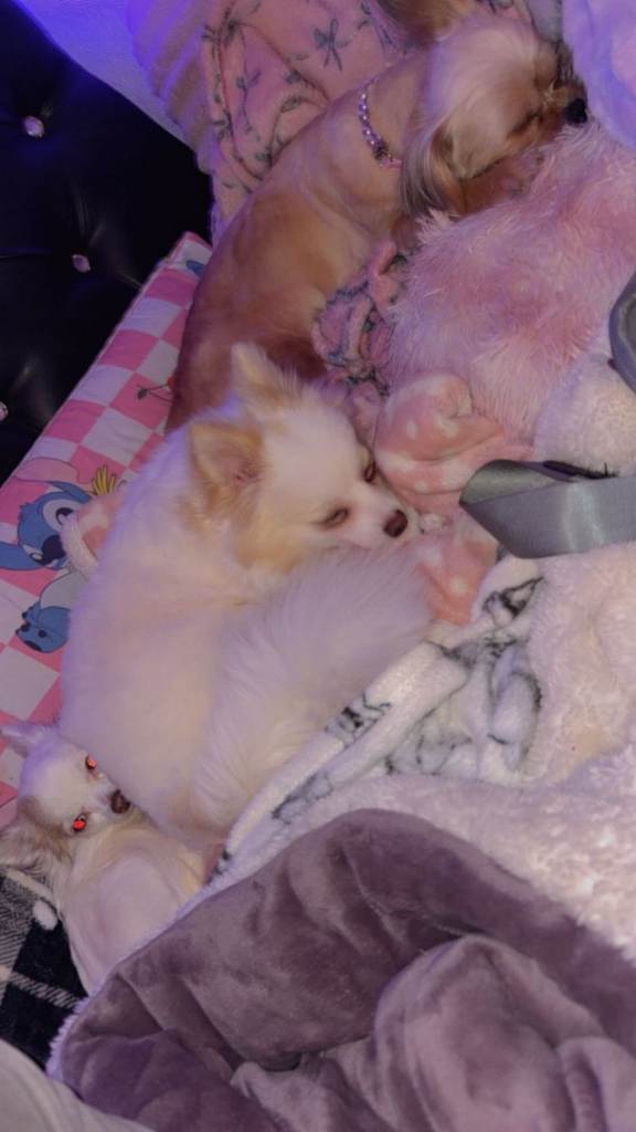 Cleo if the add is up shes still available 