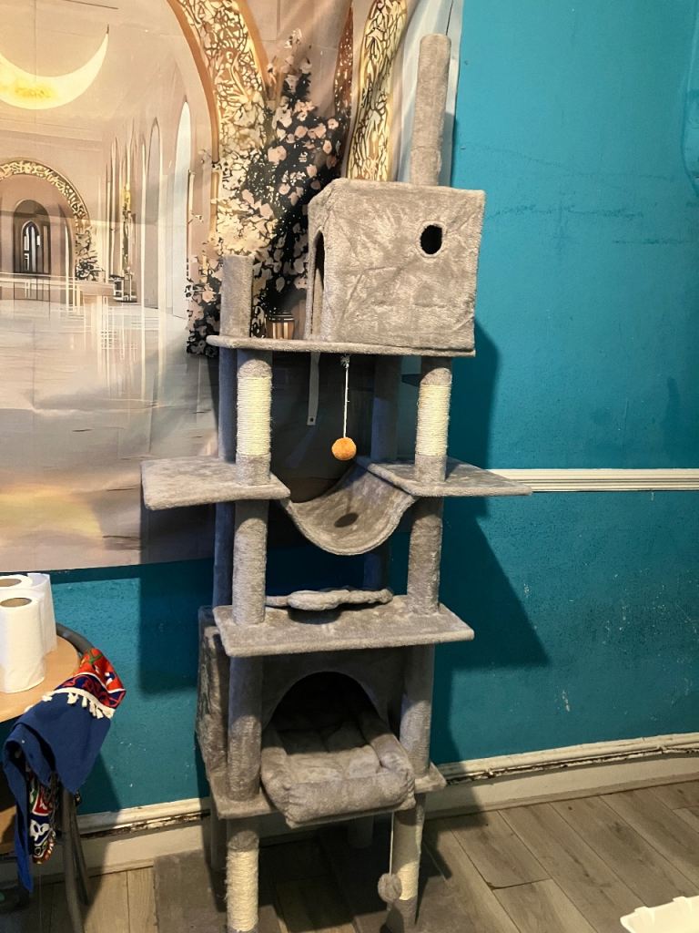 Large cat tree