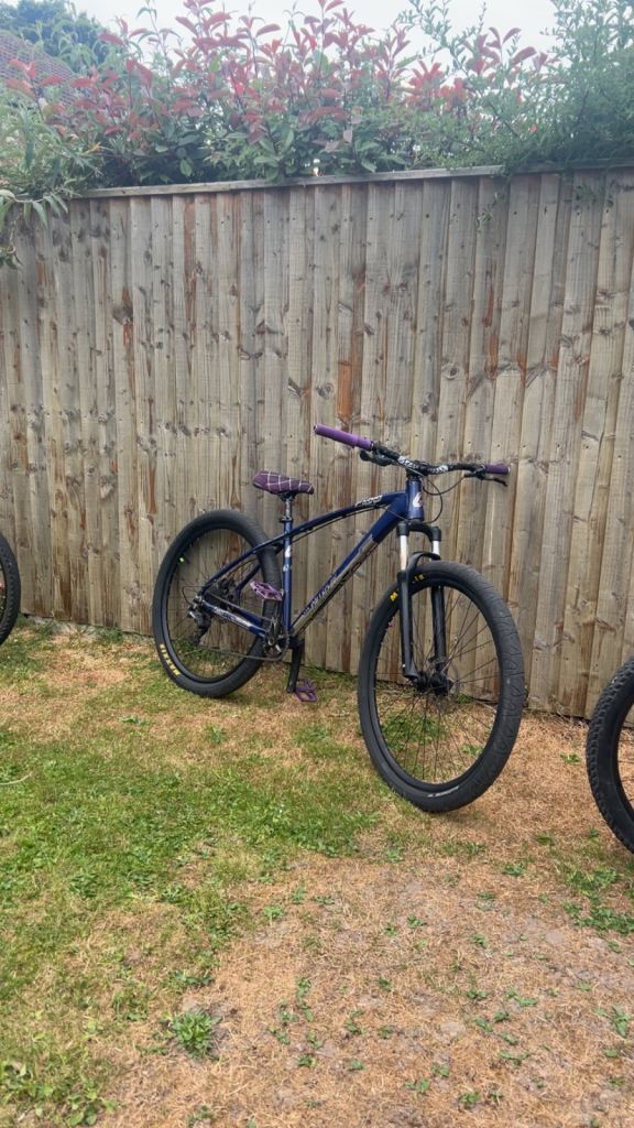 C100 push bike 
