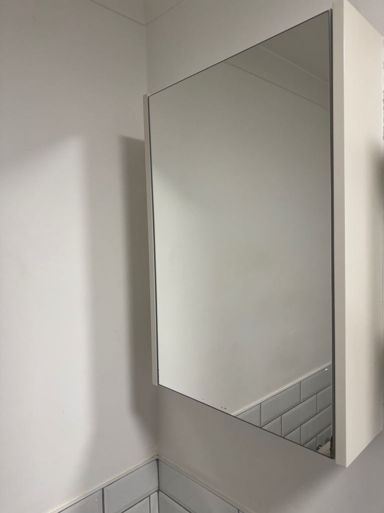 Large Bathroom Mirror Cabinet 