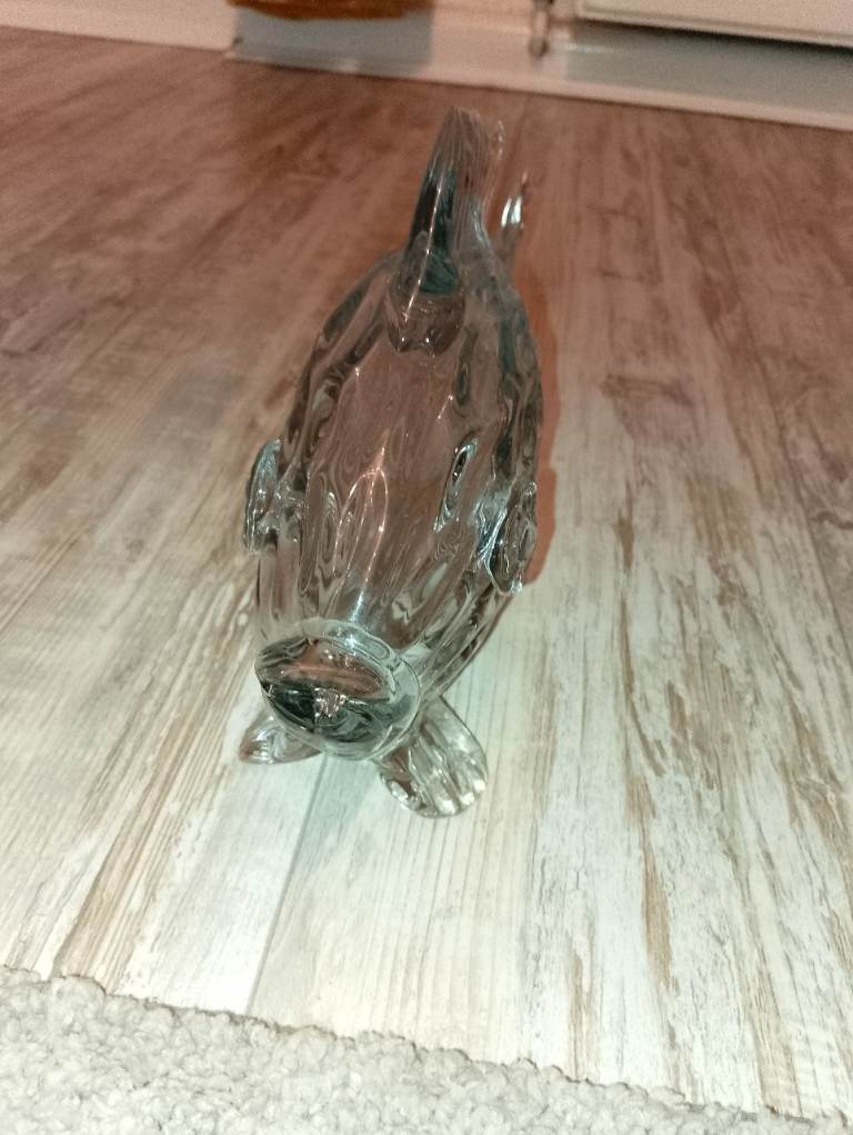 Glass fish