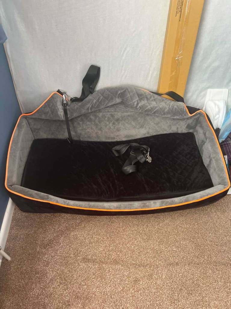 Dog car seat