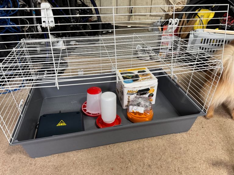 Complete chick hatching bundle