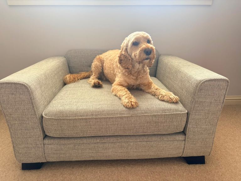 Dog Sofa - Immaculate Condition 