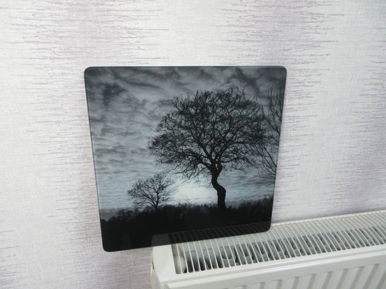 Glass Hanging Picture In Black & White