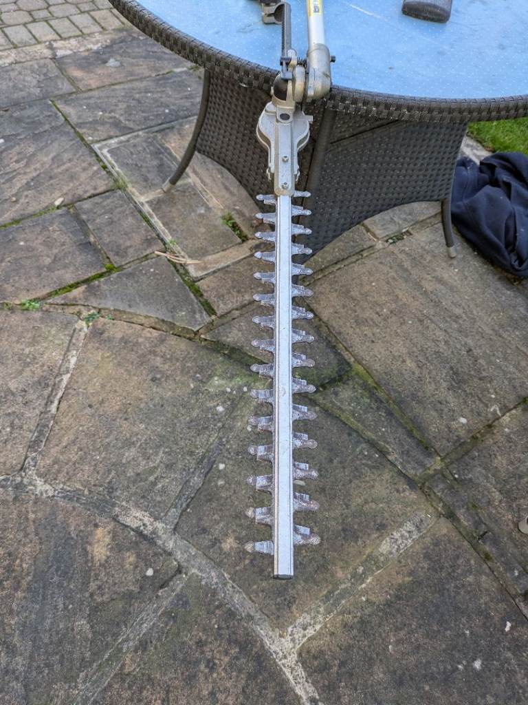 Extendable long reach garden hedge trimmer (free delivery possible)