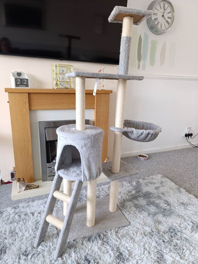 Cat/Kitten Scratching Tree