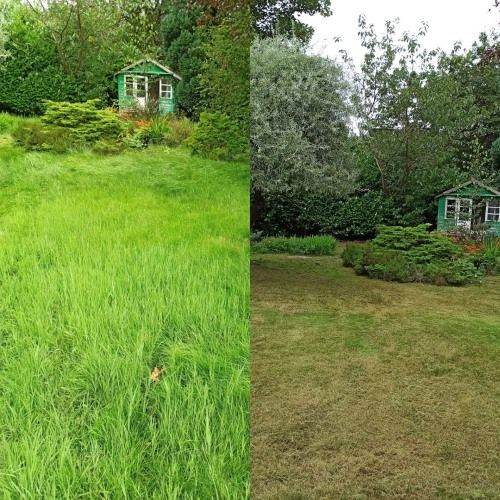 Wild & Tidy: Reliable Gardening & Garden Maintenance in Bristol