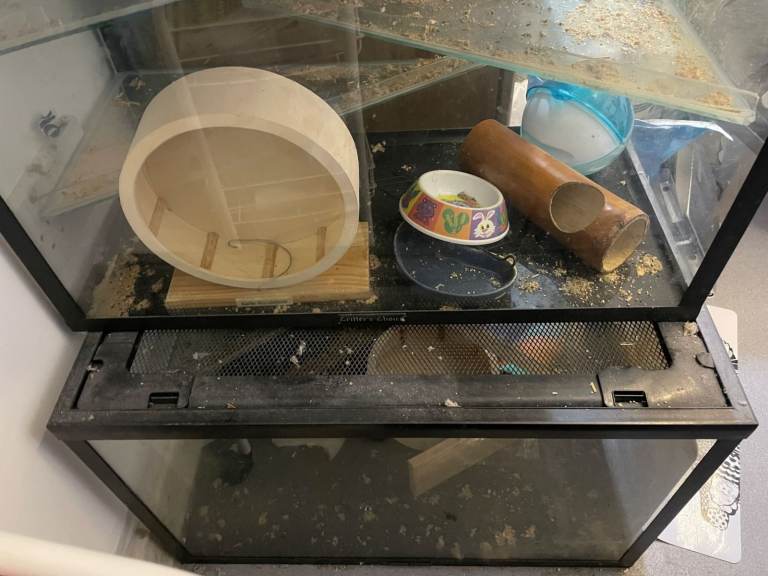 Free Habitat Glass Tanks x 2, collection only