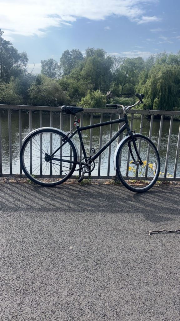 Bargain - Raleigh Bike - Read Description