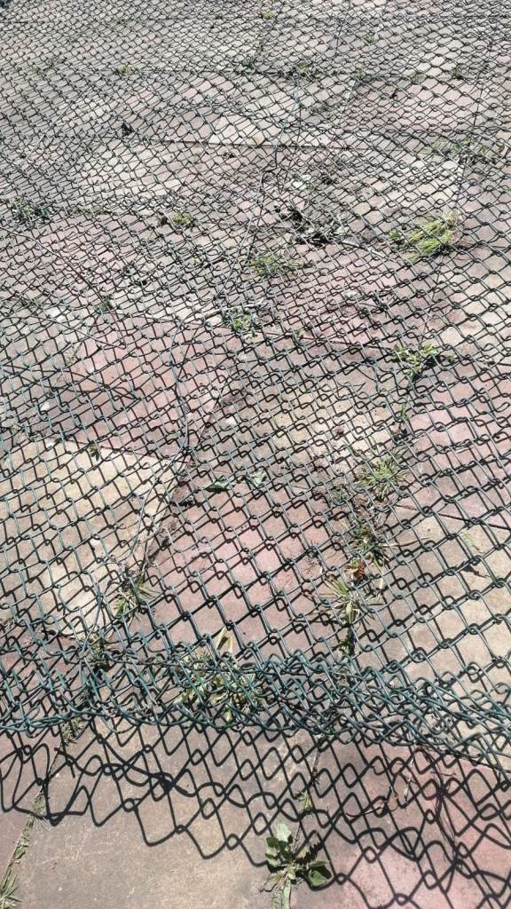 Chain Link Fence Mesh