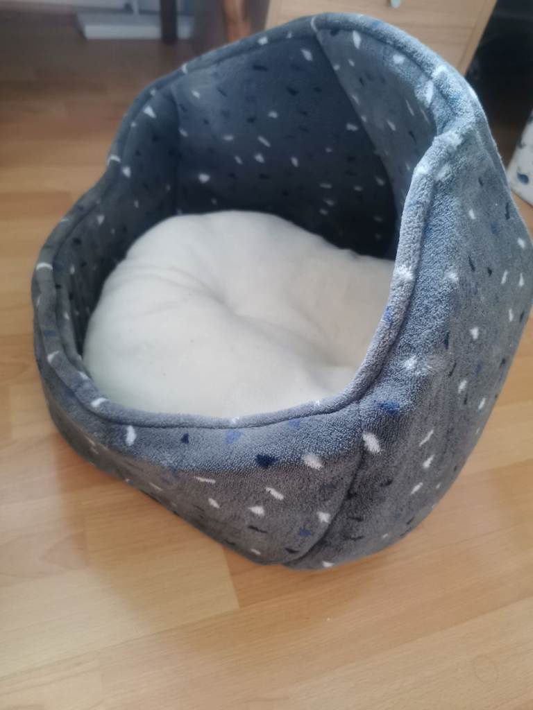New Cat Bed