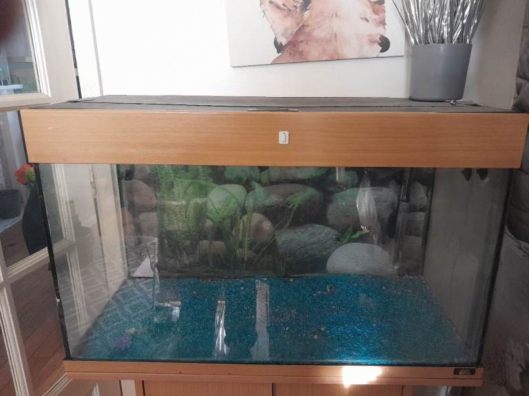Aquarium and stand