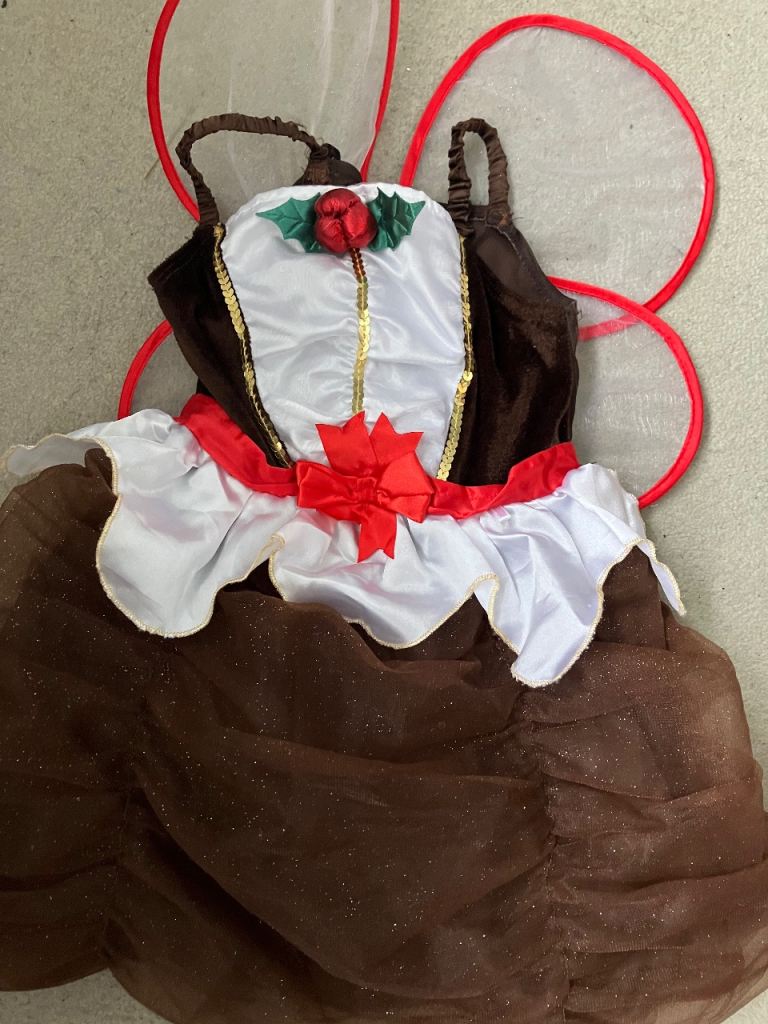 Christmas pudding dress Age 5/6 years and 3-4 years 