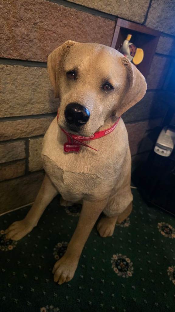 Sandicast lab large roughly 2ft tall 