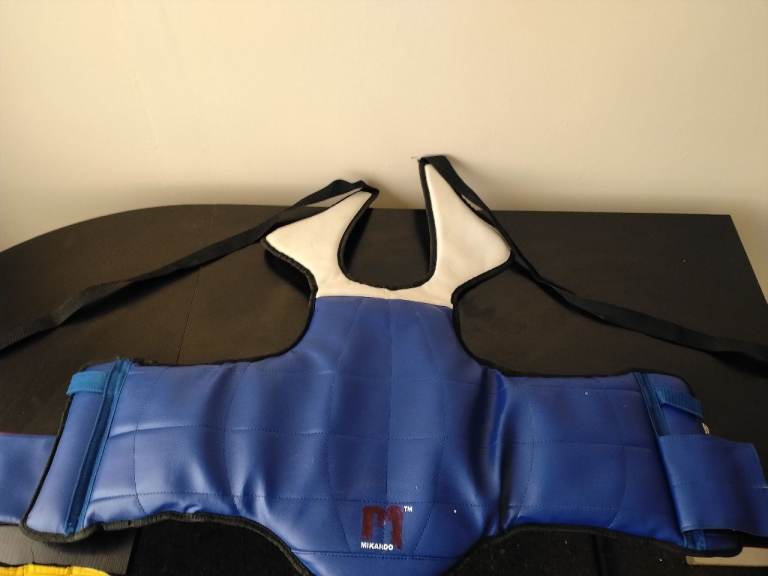 Kids MMA protective gear