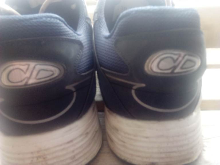 Cd dior   blue and white trainers