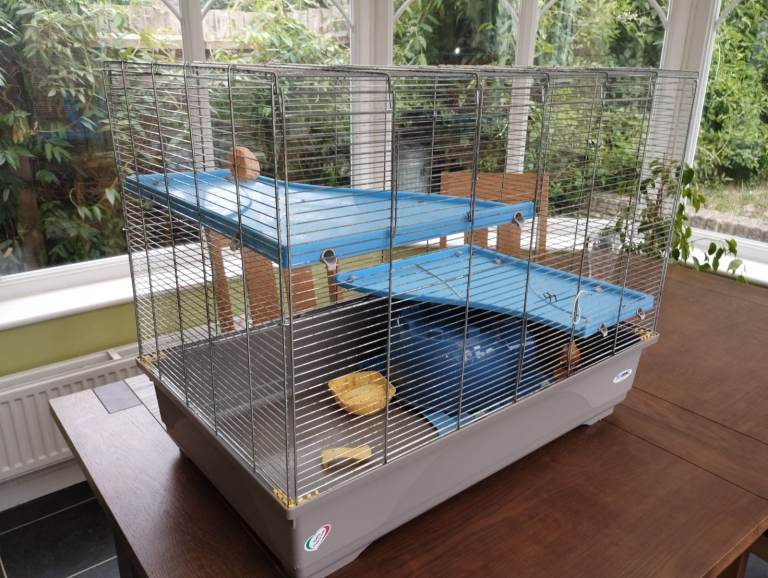 Used rat cage for pick up only.