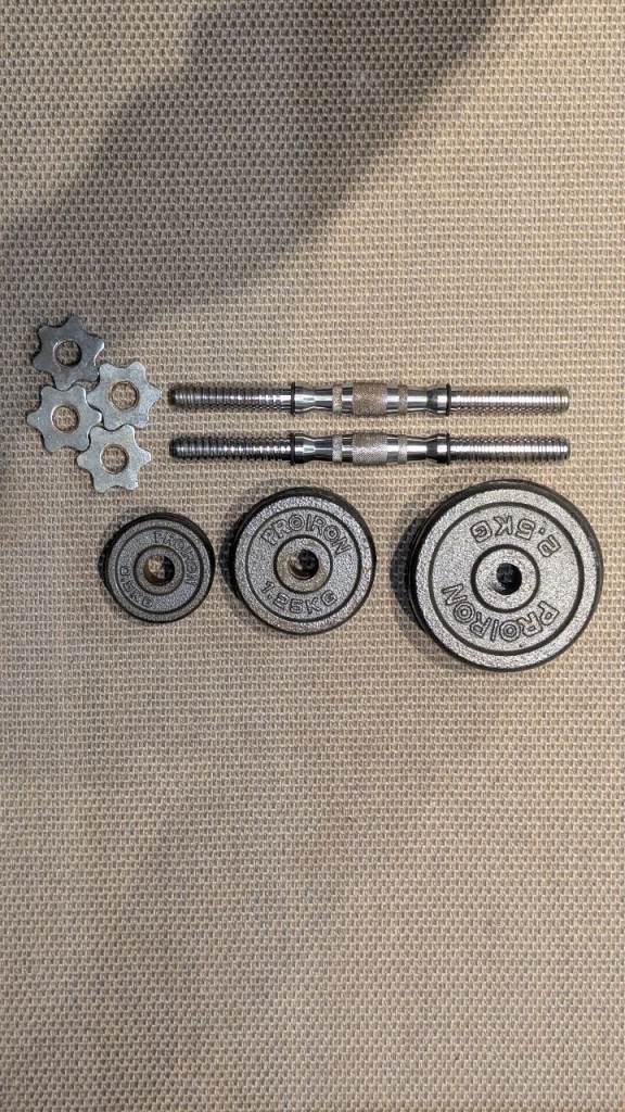 Dumbbell handles with weight plates 