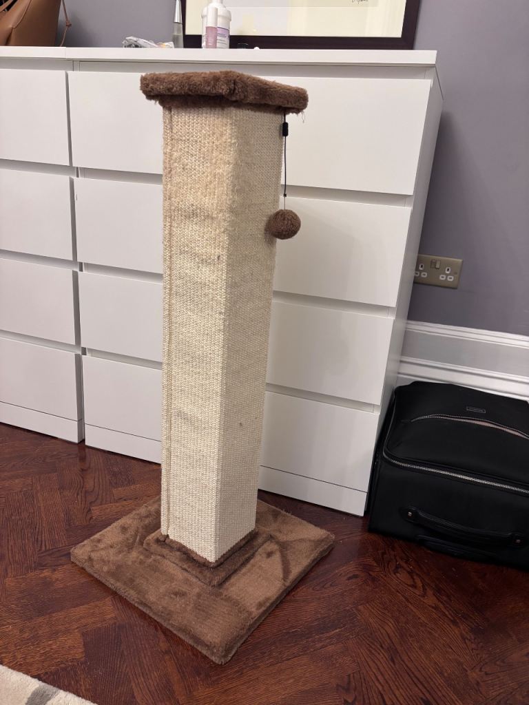 Cat scratch post 