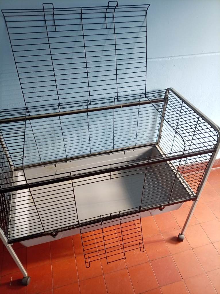 Rabbit cage