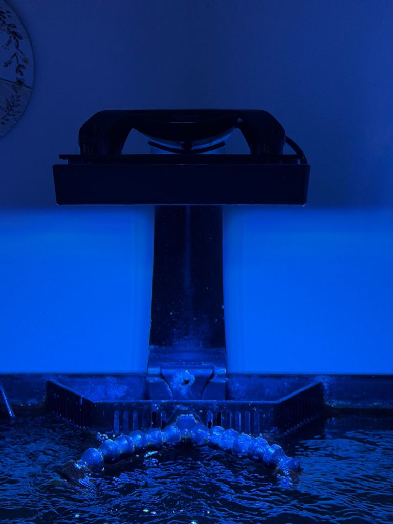 Second-Hand Aquariums for Sale in Neath, Neath Port Talbot | Gumtree