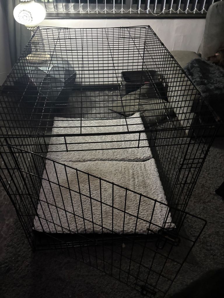 Xxl dog cage 