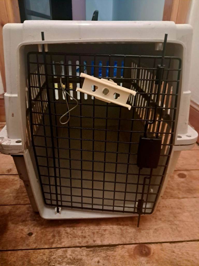 Robust plastic pet carrier