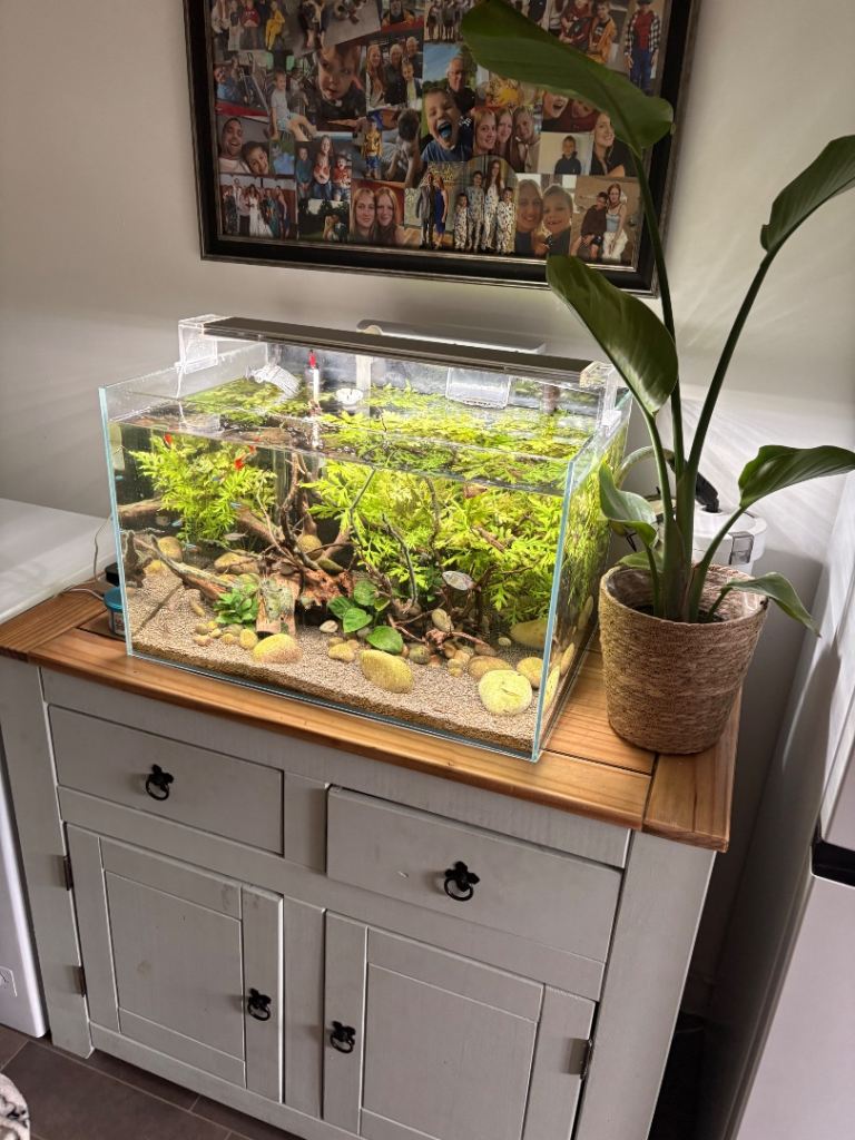 Superfish Scaper 90 Litre Aquarium