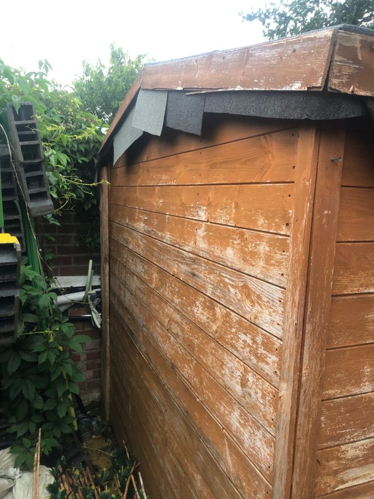 Shed