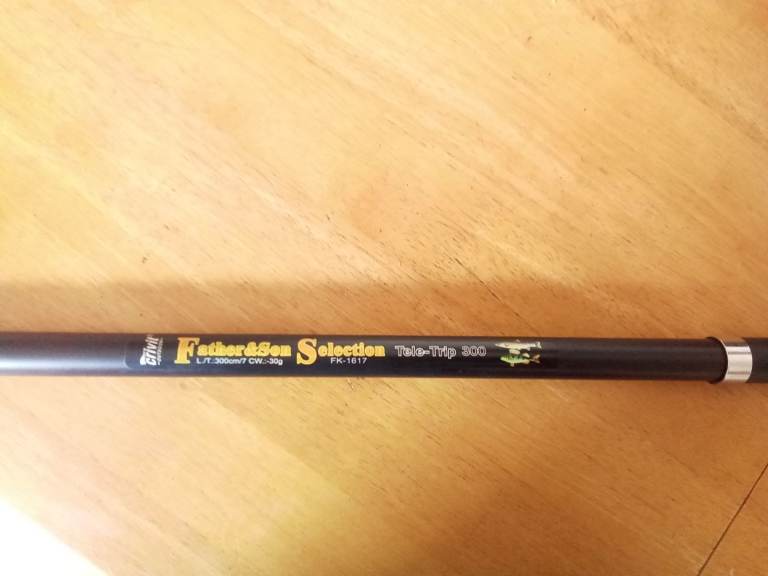 Travel fishing rod