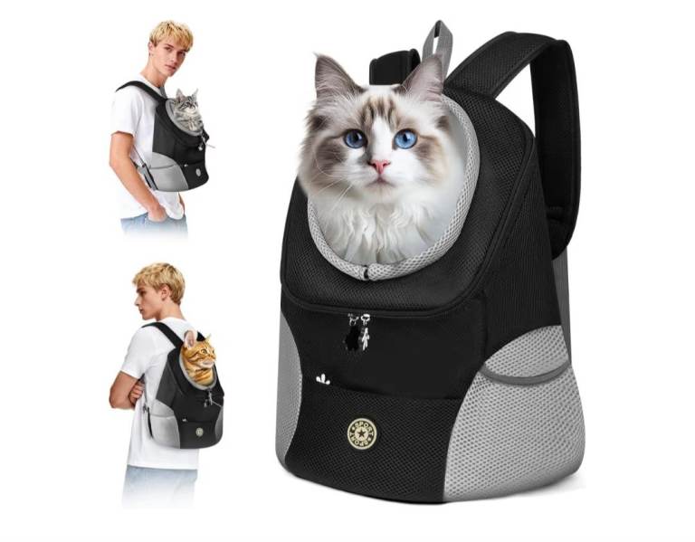 Foldable Pet Backpack, Portable Breathable Cat, Dogs Backpack, Hands Free Medium