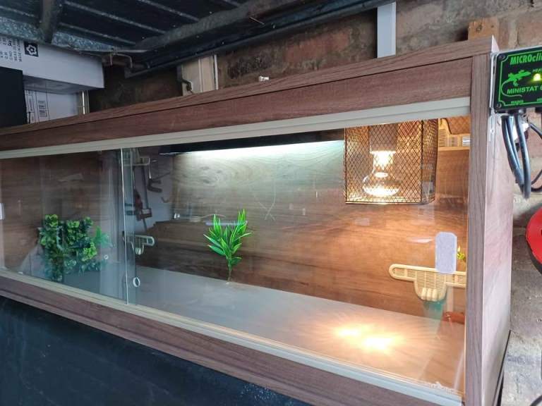 Vivarium LARGE with electrics