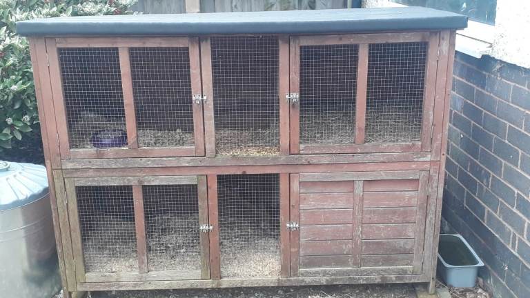 Guinea Pig Hutch, large