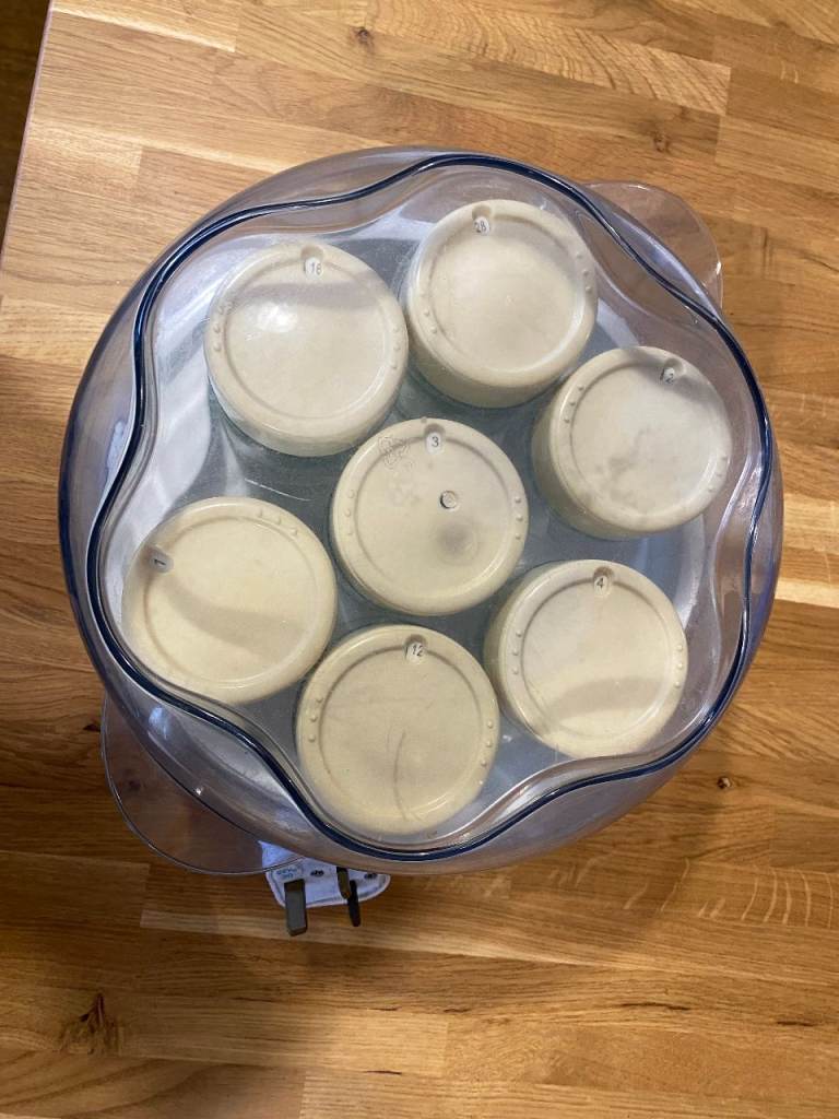 YOGURT MAKER, MOULINEX, 6 GLASS POTS, TIMER