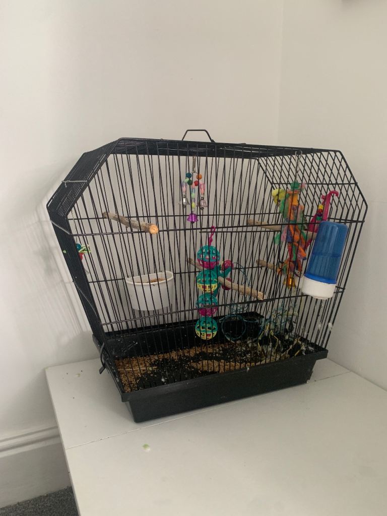 Small budgie cage 
