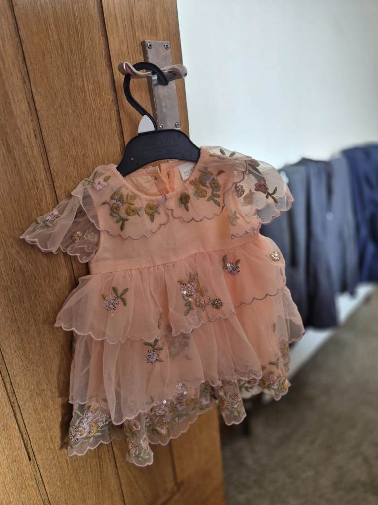 Peach pink short sleeve Mesh Embelished Dress