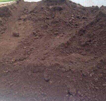 Good quality screened 10mm topsoil for sale can deliver 